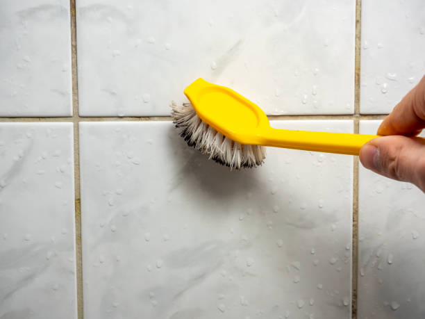 Best Black Mold Removal  in Altavista, VA