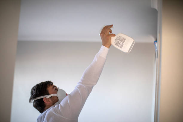 Best Commercial Mold Removal  in Altavista, VA