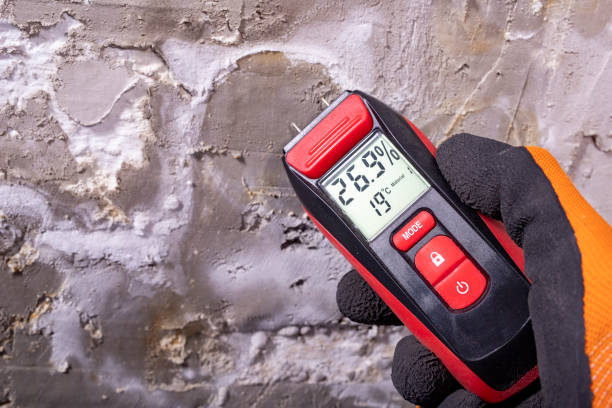 Best Mold Damage Repair  in Altavista, VA