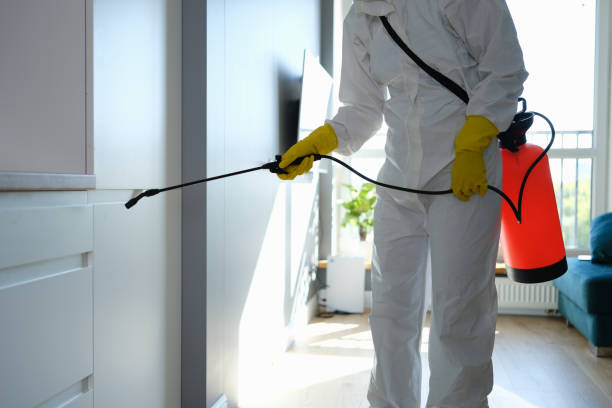 Best Professional Mold Removal  in Altavista, VA