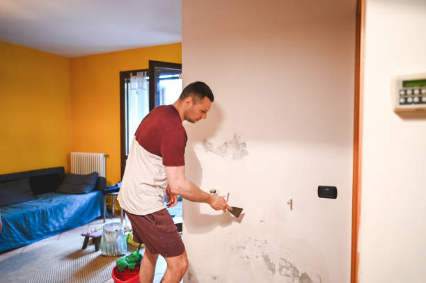 Best Certified Mold Removal  in Altavista, VA